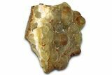 Botryoidal Yellow-Green Fluorite Formation - Fluorescent! #326519-1